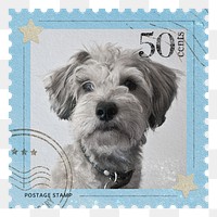 Puppy png post stamp sticker, transparent background