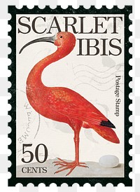 Red bird png post stamp, ephemera sticker, transparent background