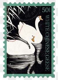 Swan png post stamp, ephemera sticker, transparent background