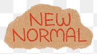 New normal png word sticker, ripped paper typography, transparent background