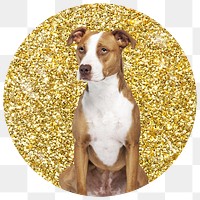 Png Pit bull terrier dog badge sticker, gold glitter circle shape, transparent background