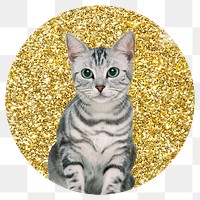 Png American shorthair cat badge sticker, gold glitter circle shape, transparent background