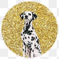 Dalmatian dog png badge sticker, gold glitter circle shape, transparent background