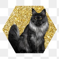 Angora cat png badge sticker, gold glitter hexagon shape, transparent background