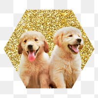 Png Golden retriever puppies png badge sticker, gold glitter hexagon shape, transparent background