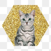 Png American shorthair cat badge sticker, gold glitter hexagon shape, transparent background