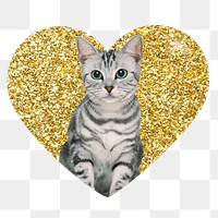 Png American shorthair cat  badge sticker, gold glitter heart shape, transparent background