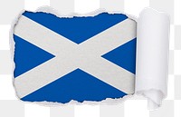 Flag of Scotland png sticker, torn paper design, transparent background