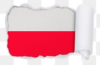 Flag of Poland png sticker, torn paper design, transparent background