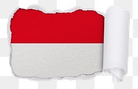 Flag of Indonesia png sticker, torn paper design, transparent background