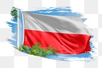 Poland flag png sticker, brush stroke design, transparent background