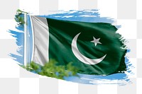 Pakistan flag png sticker, brush stroke design, transparent background