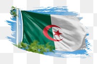 Algeria flag png sticker, brush stroke design, transparent background