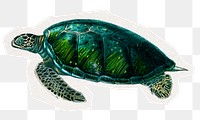 Sea turtle png digital sticker, collage element in transparent background