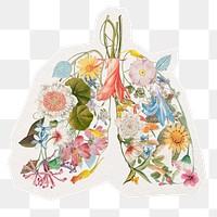 PNG floral lungs, collage element sticker, transparent background