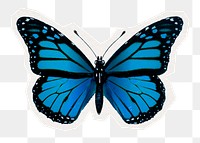 Blue butterfly png sticker, beautiful collage element in transparent background