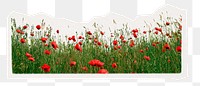 Poppy border png collage element sticker, transparent background