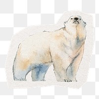 PNG polar bear digital sticker, collage element in transparent background