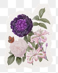 Pretty png flower sticker, purple watercolor illustration in transparent background