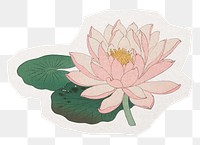 Water lily png sticker, asian flower collage element in transparent background