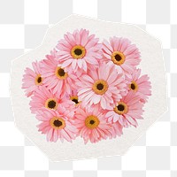 Pink flower png sticker, natural daisy object in transparent background