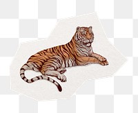 PNG tiger sticker, animal illustration cut out in transparent background