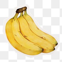 Bananas png collage element sticker, transparent background