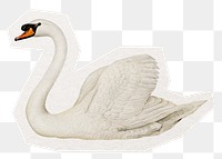 White swan png digital sticker, collage element in transparent background