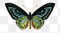 Aesthetic butterfly png sticker, green collage element in transparent background