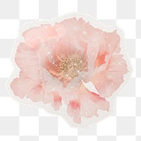 PNG aesthetic flower sticker, watercolor illustration in transparent background