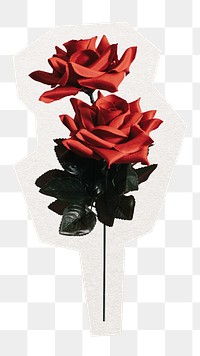 Beautiful png rose sticker, valentines day collage element in transparent background