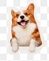 PNG cute Corgi dog sticker, collage element in transparent background