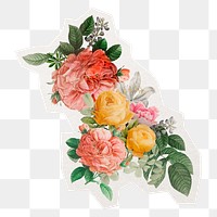 Colorful flower png, collage element sticker, transparent background