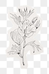 Wildflower png line art sticker, lilac hibiscus collage element in transparent background