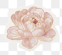 PNG pink flower sticker, aesthetic gold decoration in transparent background