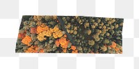 PNG Autumn forest washi tape, journal sticker element, transparent background