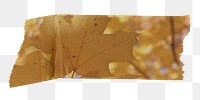 PNG Autumn leaves washi tape, stationery collage element, transparent background
