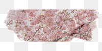 PNG pink flower washi tape, stationery collage element, transparent background