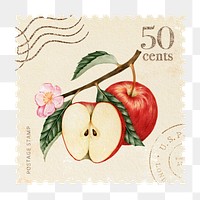 Png apples postage stamp sticker, vintage illustration, transparent background