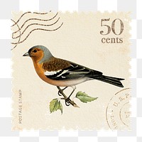 Bird png postage stamp sticker, hand drawn, transparent background