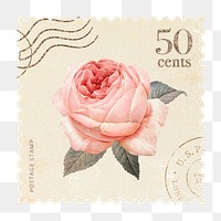 Rose png postage stamp sticker, watercolor illustration, transparent background