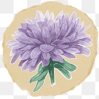 Purple flower png sticker, ripped paper, transparent background