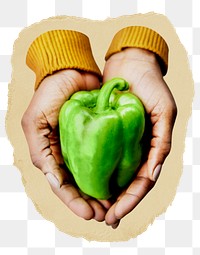 Bell pepper png sticker, ripped paper, transparent background