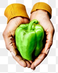 Bell pepper png sticker, vegetable, ingredient image, transparent background