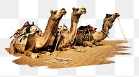 PNG group of camels, collage element, transparent background