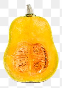 Butternut squash png sticker, vegetable, food image, transparent background