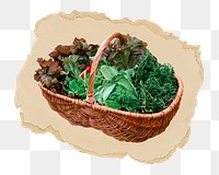 Vegetable basket png sticker, ripped paper, transparent background