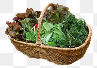 Vegetable basket png sticker, organic food ingredient image, transparent background