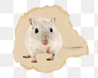 Cute mouse png sticker, ripped paper, transparent background