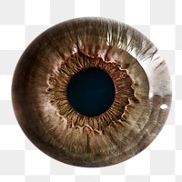 Brown eye iris png sticker, iridology image, transparent background